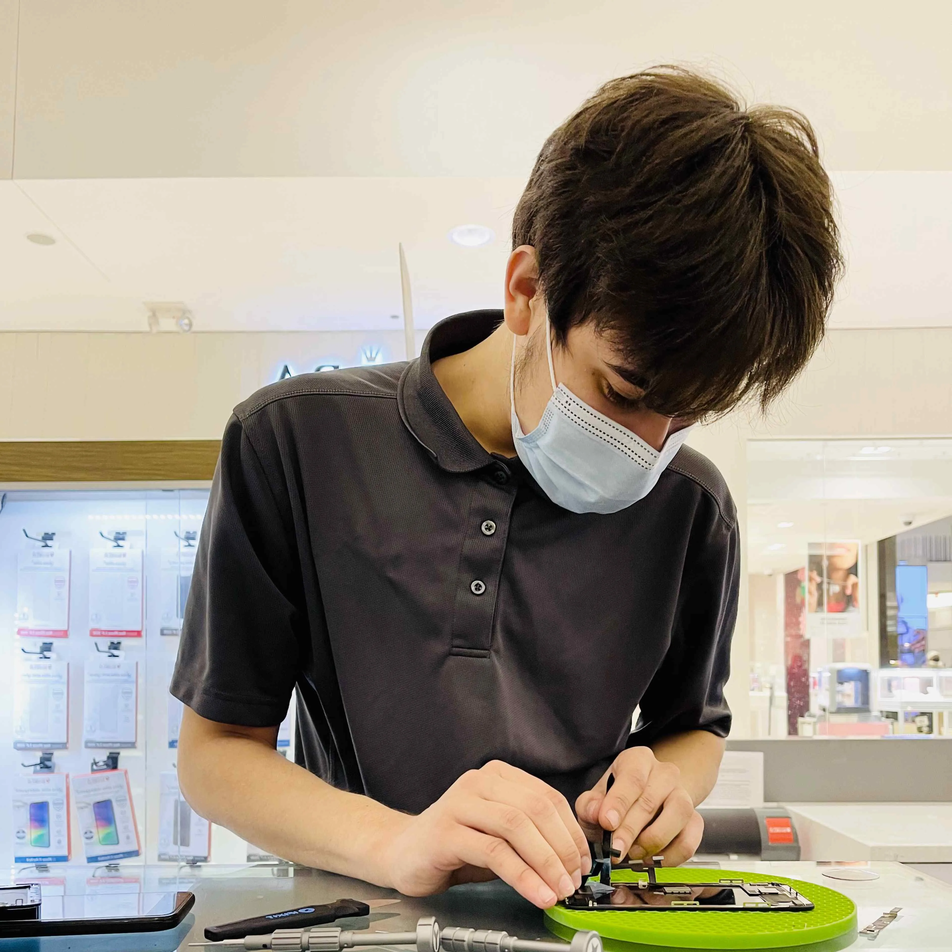 Сертификат - Соболев Николай Дмитриевич